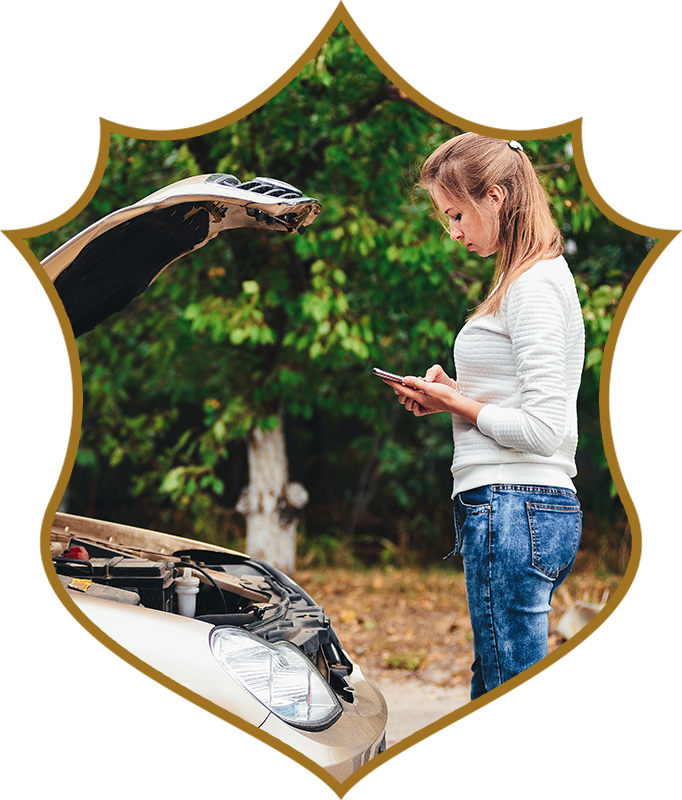 Towing In Seattle | Panther Towing &Amp; Recovery